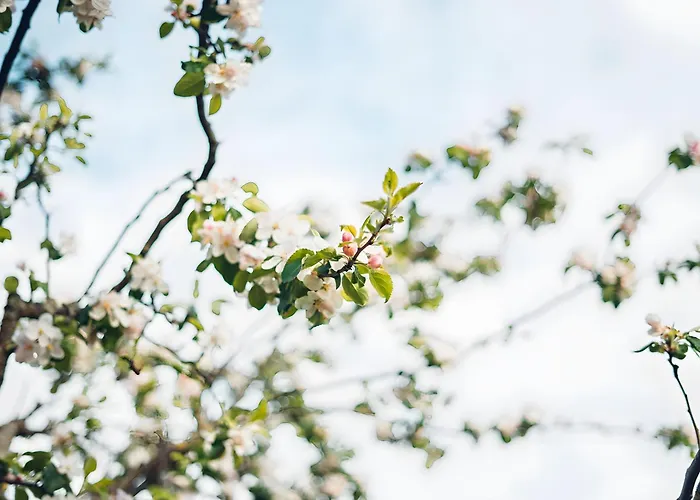 Zum Jungen Fritz Gast- Logierhaus 3*