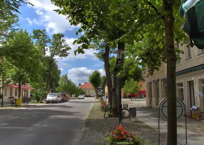 Zum Jungen Fritz Gast- Logierhaus راينزبرج