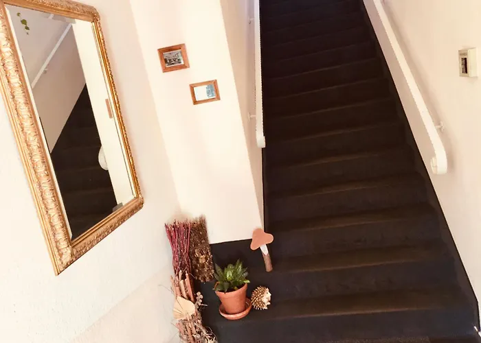 Zum Jungen Fritz Gast- Logierhaus 3* راينزبرج